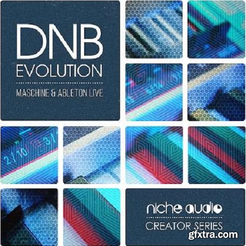 Niche Audio Creator Series DnB Evolution