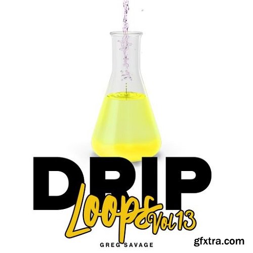 DiyMusicBiz Drip Loops Vol 13