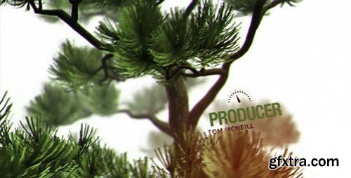 Videohive About Us Bonsai Tree 20516636