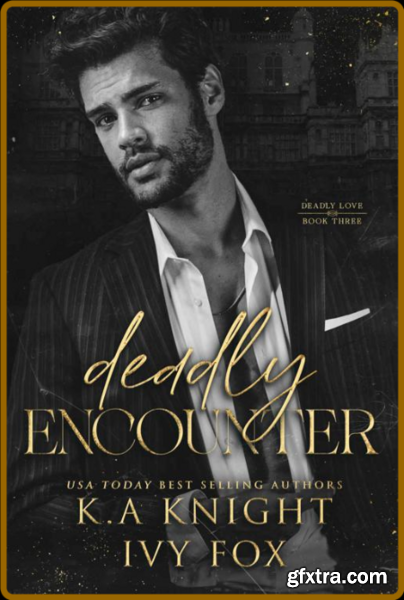 Deadly Encounter (Deadly Love B - K A Knight