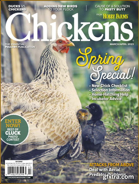 Chickens - March-April 2023