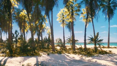 Videohive - Tropical Paradise with White Sand and Palm Trees - 42950779 - 42950779