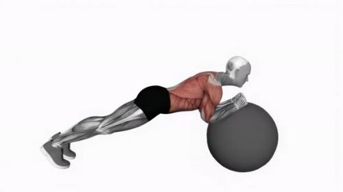 Videohive - Exercise Ball Body Saw fitness exercise workout animation video male muscle highlight 4K 60 fps - 42953353 - 42953353