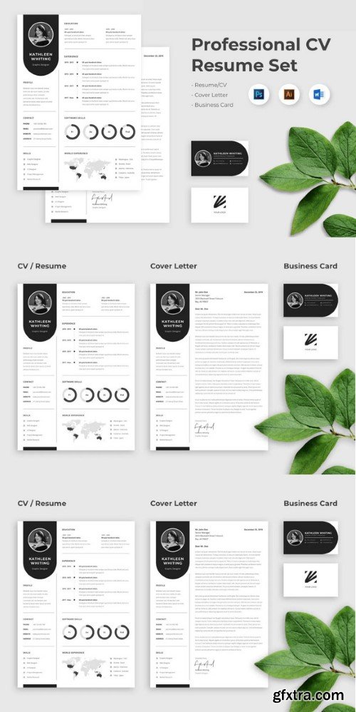 RDC Professional Business Clean CV