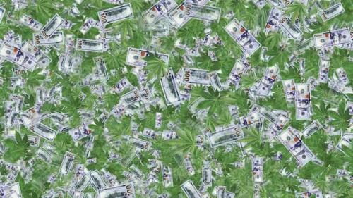 Videohive - Cannabis And Dollars - 42965083 - 42965083