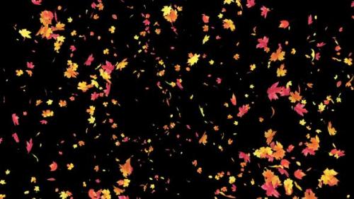 Videohive - Maple Leaves Burst - 42969665 - 42969665