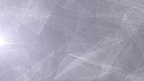 Videohive - Connected Lines And Shapes On A Plexus Surface Light Grey - 42970792 - 42970792