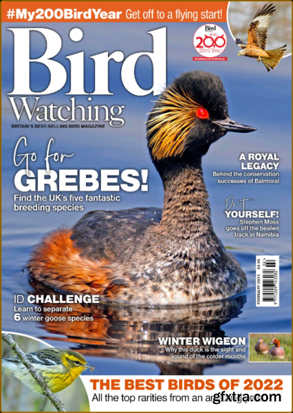 Bird Watching UK - February 2023