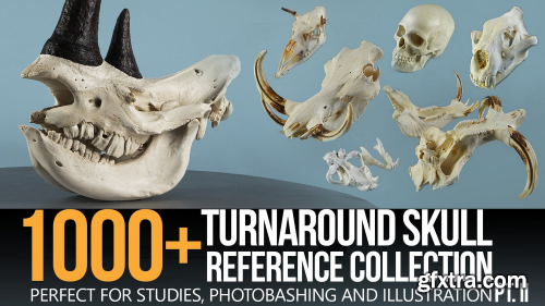 ArtStation - Grafit Studio - 1000+ Skull Reference Collection (Pt. II)