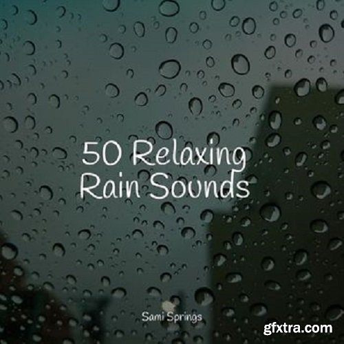 Pro Sound Effects Library 50 Soothing Winter Rain Sounds