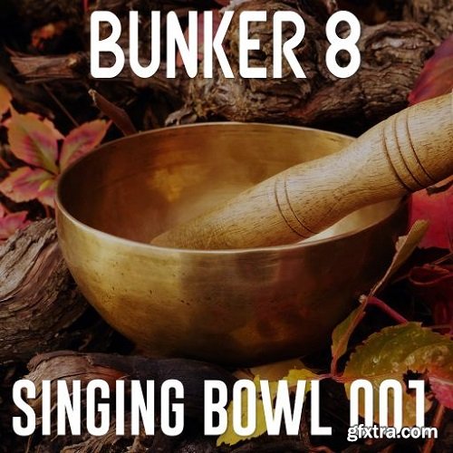 Bunker 8 Digital Labs Bunker 8 Singing Bowl Percussive Loops 001