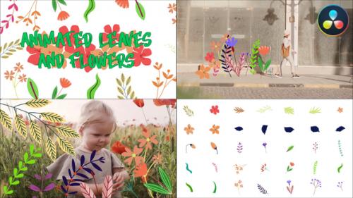 Videohive - Animated Leaves And Flowers for DaVinci Resolve - 42946163 - 42946163