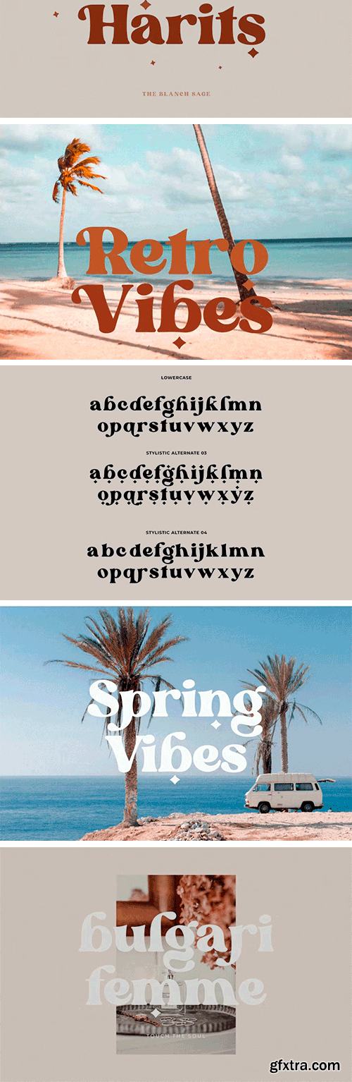 Blanch Sage - Retro Font