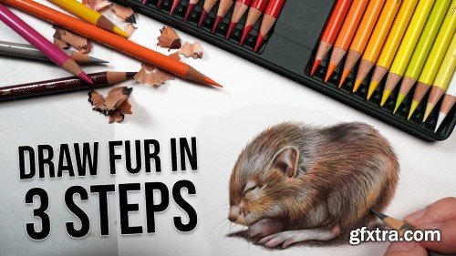 Drawing Animals: How to Draw Realistic Fur with Colored Pencils