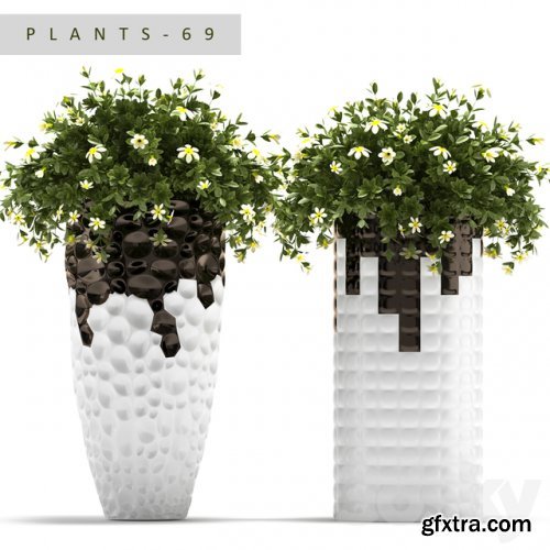 PLANTS 69