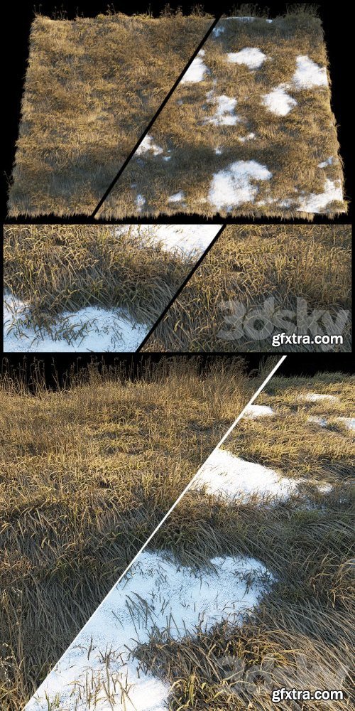 Dry grass | Thaw pollen