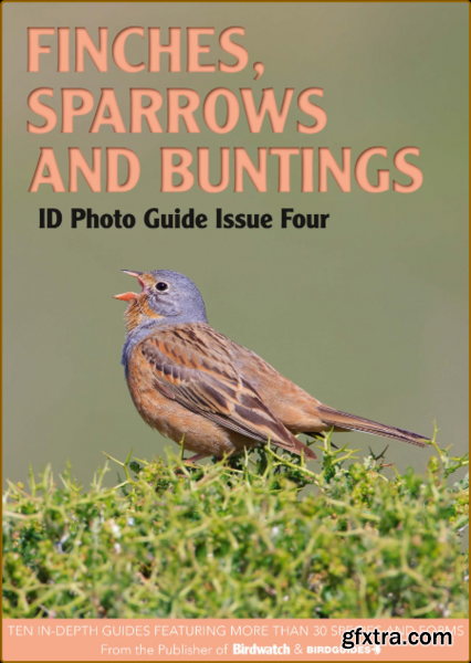 Bird ID Photo Guides – 09 January 2023