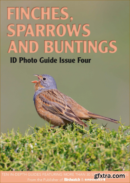 Bird ID Photo Guides – 13 January 2023