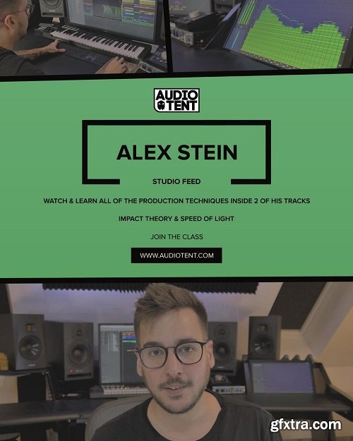 Audiotent Studio Feed Alex Stein Course