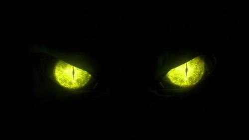 Videohive - Monster Eyes - 43086705 - 43086705