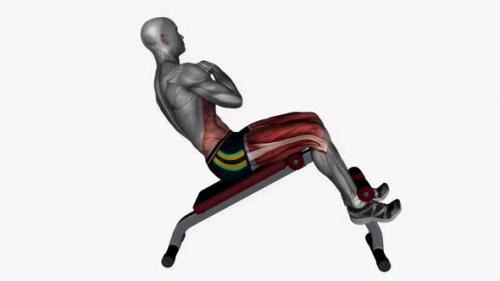 Videohive - Decline Bench Oblique Crunches Bodyweight fitness exercise workout animation video male muscle highl - 43015172 - 43015172