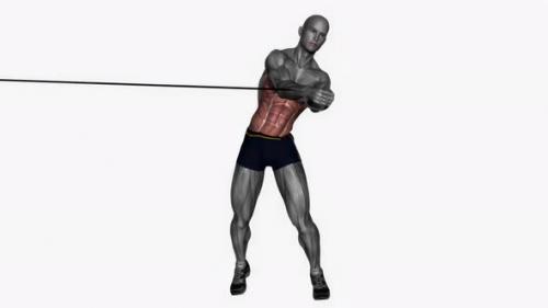 Videohive - Diagonal Chop Cable fitness exercise workout animation video male muscle highlight 4K 60 fps - 43015173 - 43015173