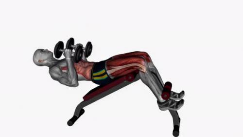 Videohive - Decline Bench Oblique Crunches Dumbbells fitness exercise workout animation video male muscle highli - 43015174 - 43015174