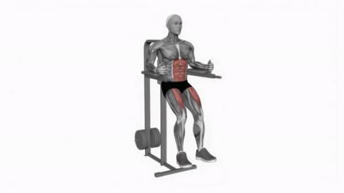 Videohive - Captains Chair Leg Raise fitness exercise workout animation video male muscle highlight 4K 60 fps - 43015243 - 43015243