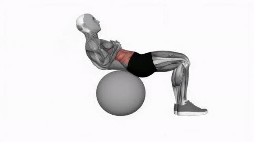 Videohive - Crunch (On Stability Ball) fitness exercise workout animation video male muscle highlight 4K 60 fps - 43015247 - 43015247