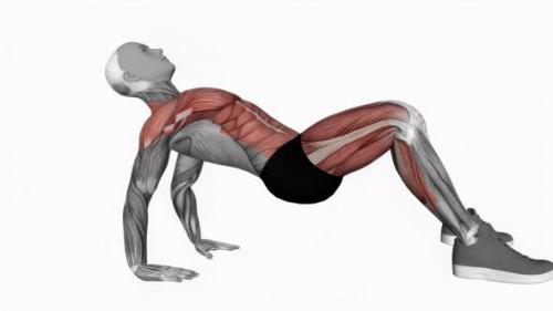 Videohive - Crab Pose fitness exercise workout animation video male muscle highlight 4K 60 fps - 43015253 - 43015253