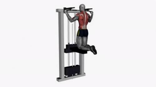Videohive - Assisted Pull Up Wide Grip fitness exercise workout animation video male muscle highlight 4K 60 fps - 43015905 - 43015905
