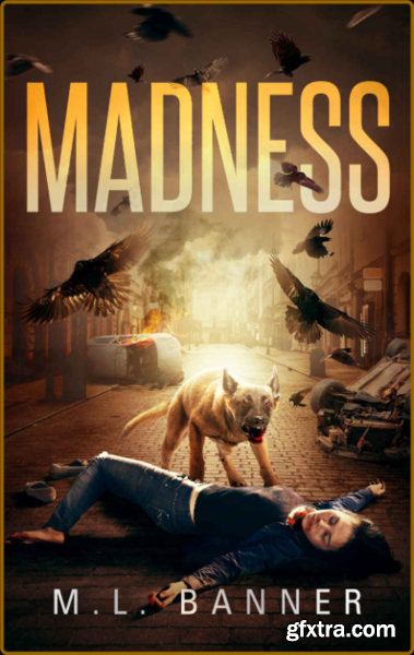 Madness by M L  Banner