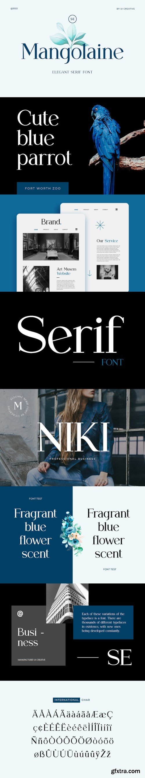 Mangolaine - Elegant Serif Font