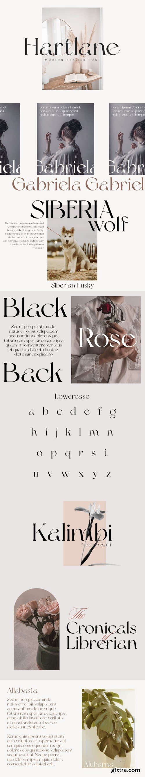 Hartlane | Modern Serif