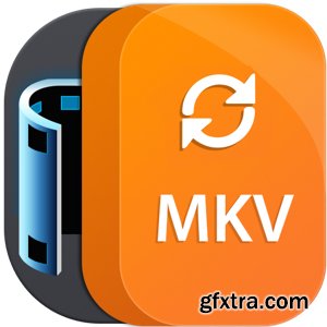 Aiseesoft MKV Converter 9.2.22