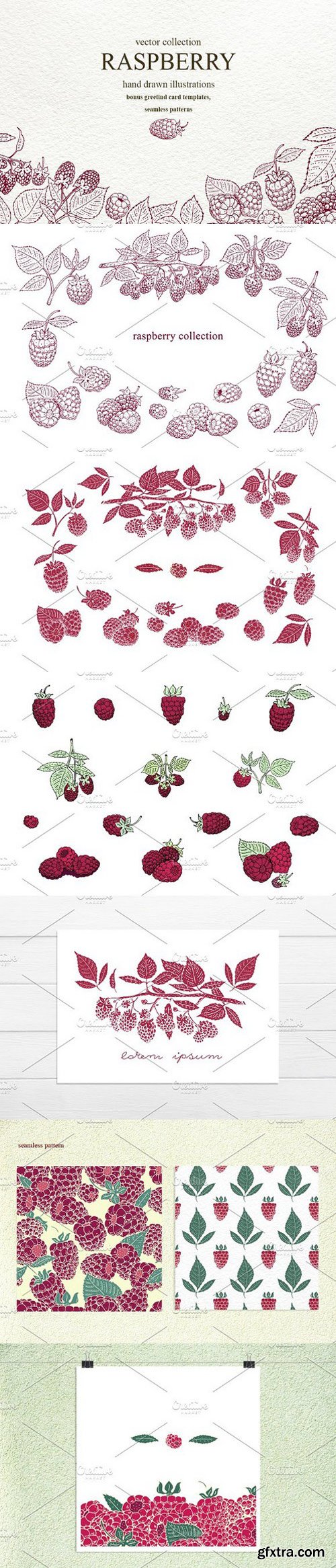 Vector Raspberry Collection