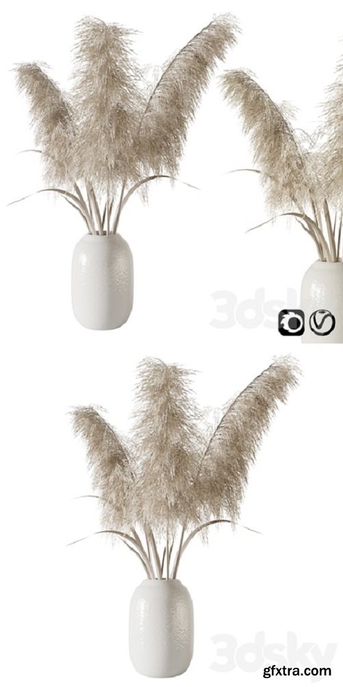 Pampas grass bouquet 3d model