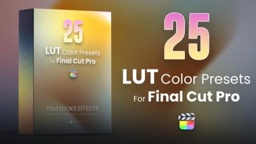 Videohive - 25 LUTs pack for Final Cut Pro - 43129044 - 43129044