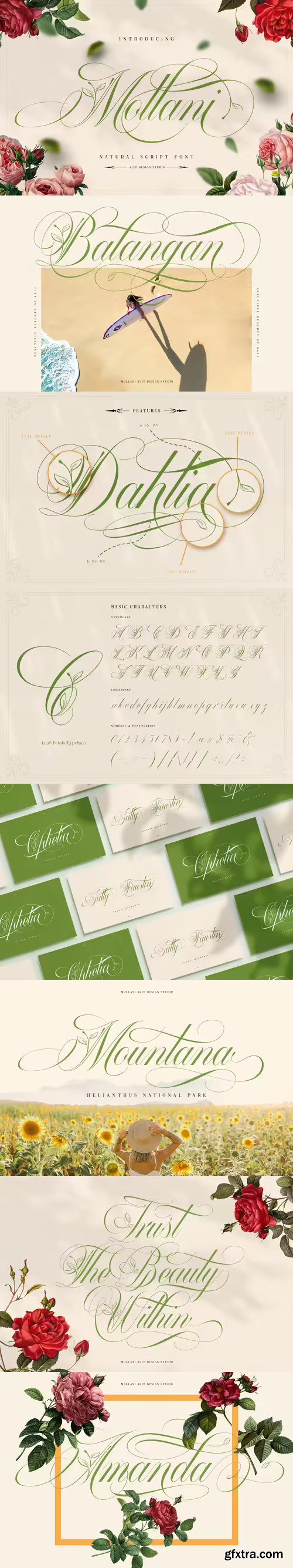 Mollani Nature Script