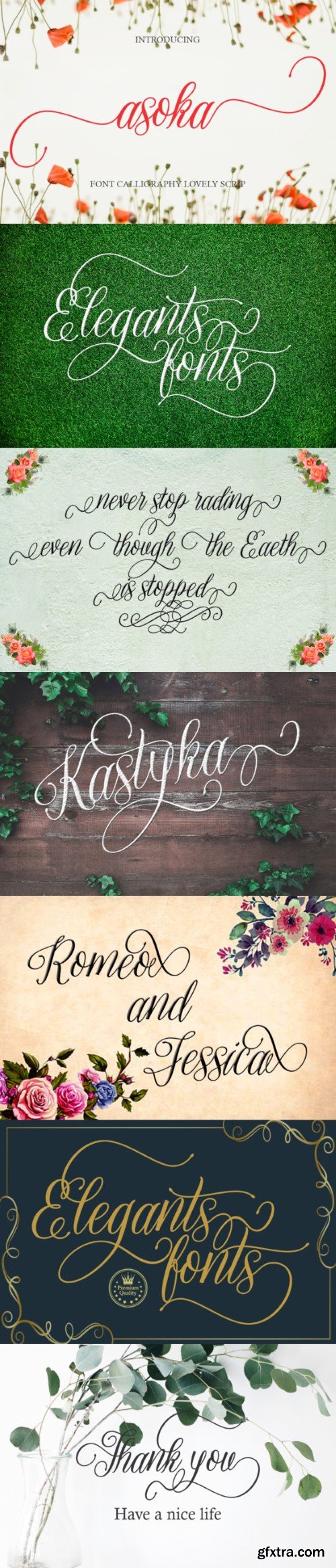 Asoka Font