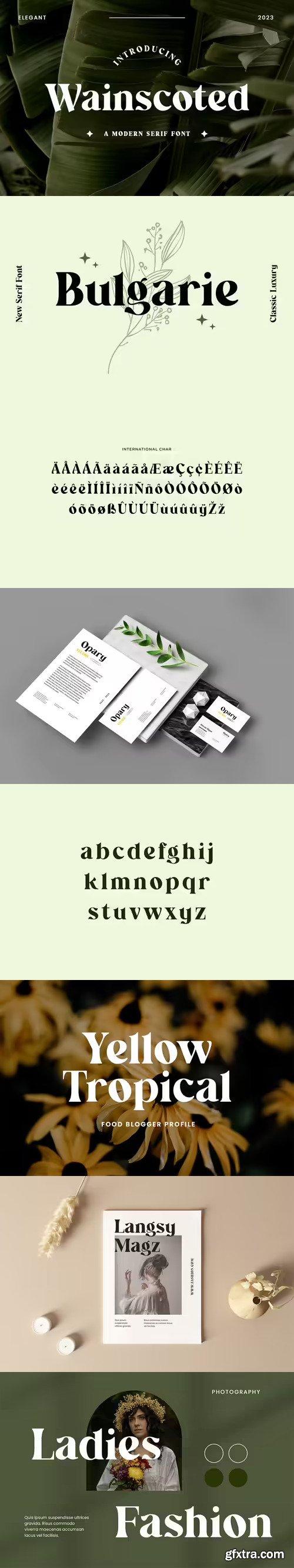 Wainscoted Modern Serif Font