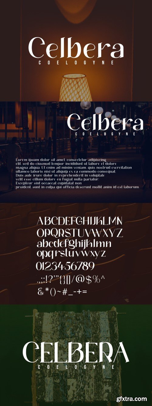 Celebra Coelogyne - Serif Font