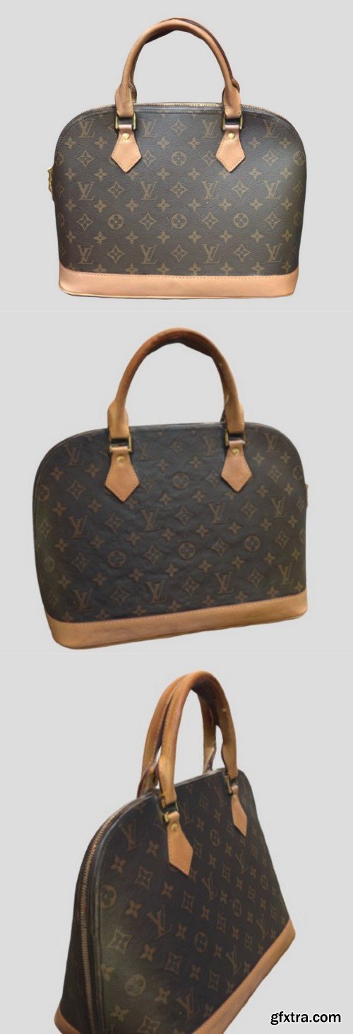 Louis Vuitton Handbag 3D Model