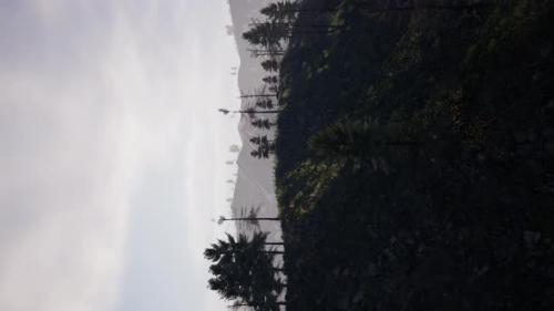 Videohive - Vertical Video of Misty Foggy Mountain Landscape with Fir Forest - 43263929 - 43263929