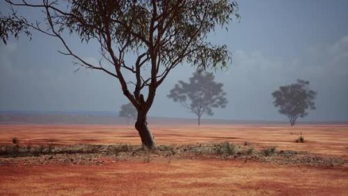 Videohive - African Savanna Landscape with Acacia Trees - 43264126 - 43264126