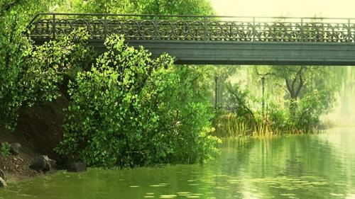 Videohive - Summer Green Forest Pond Landscape - 43264180 - 43264180