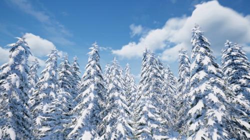 Videohive - Timelapse Winter Forest - 43192431 - 43192431