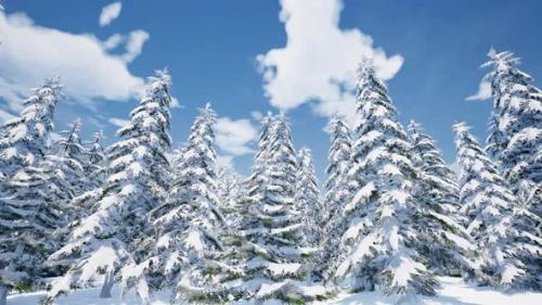 Videohive - Winter Forest - 43194577 - 43194577