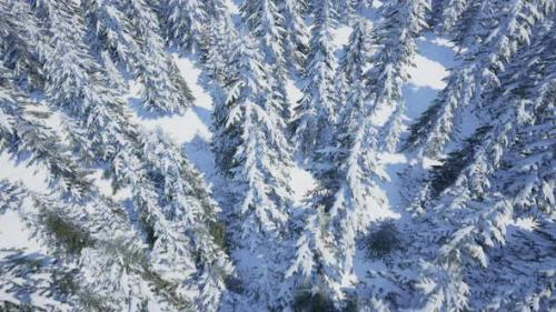 Videohive - Fly Over Snowy Forest - 43204585 - 43204585