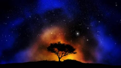 Videohive - Abstract Night Tree And Sky Space Loop Background 4k - 43185398 - 43185398